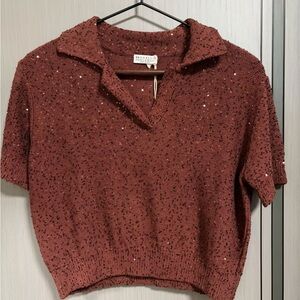 Brunello Cucinelli Sequin-Embellished Rust Knit Polo